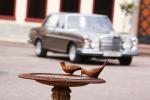 Mercedes-Benz 300 SEL 6.3 by VATH 2012 года